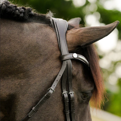 Perseus Bridle (Convertible) (No reins)