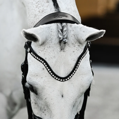 Saphira Bridle (Double) (No reins)
