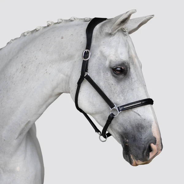 Perseus Leather Halter