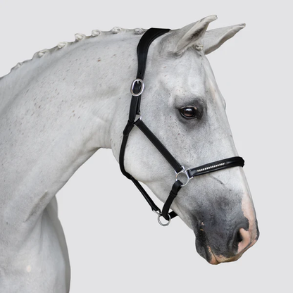 Perseus Leather Halter