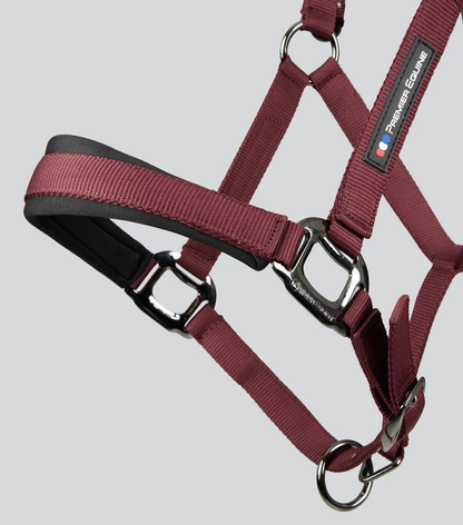 Corda Padded Head Collar with Lead Rope