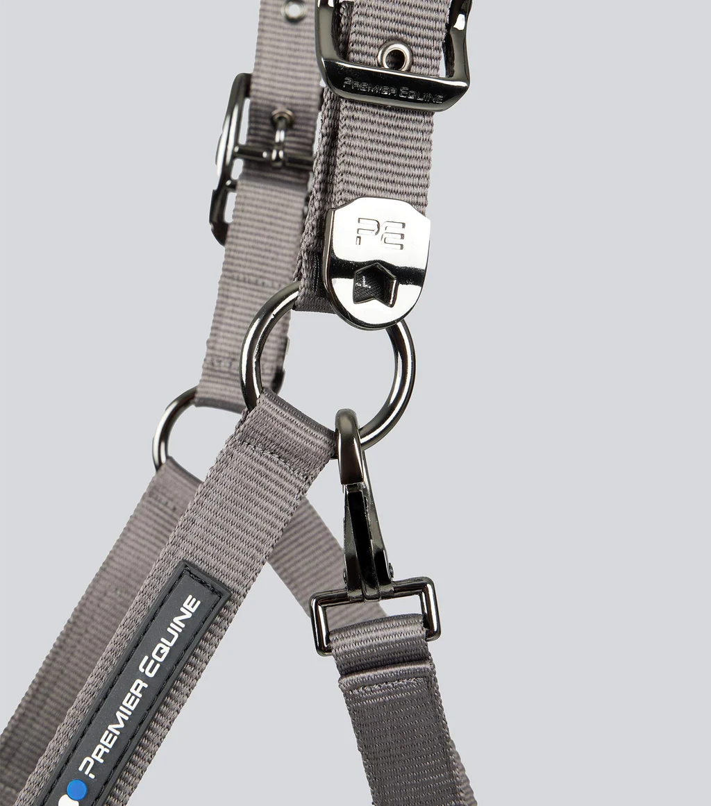 Corda Padded Head Collar with Lead Rope