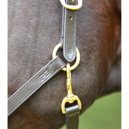 Pasco Plain Leather Head Collar