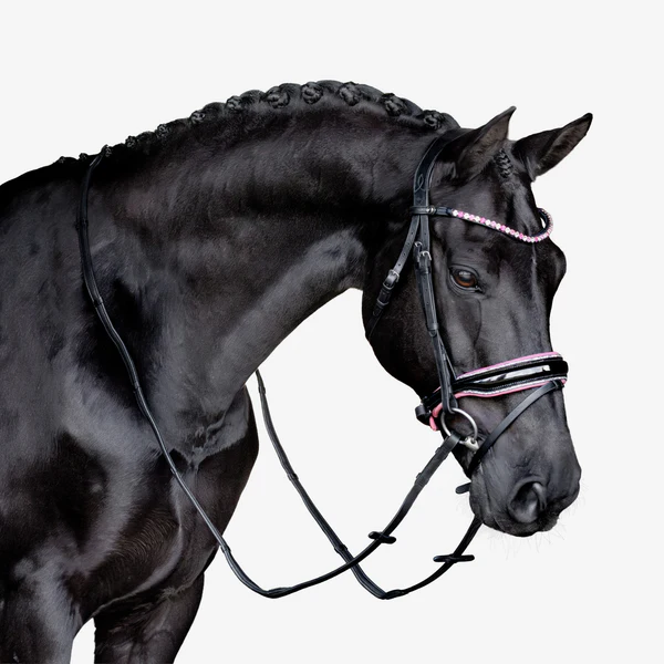 Paloma Bridle (Hanoverian) (No reins)