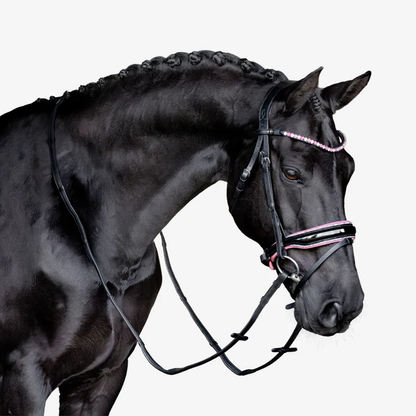 Paloma Bridle (Hanoverian) (No reins)