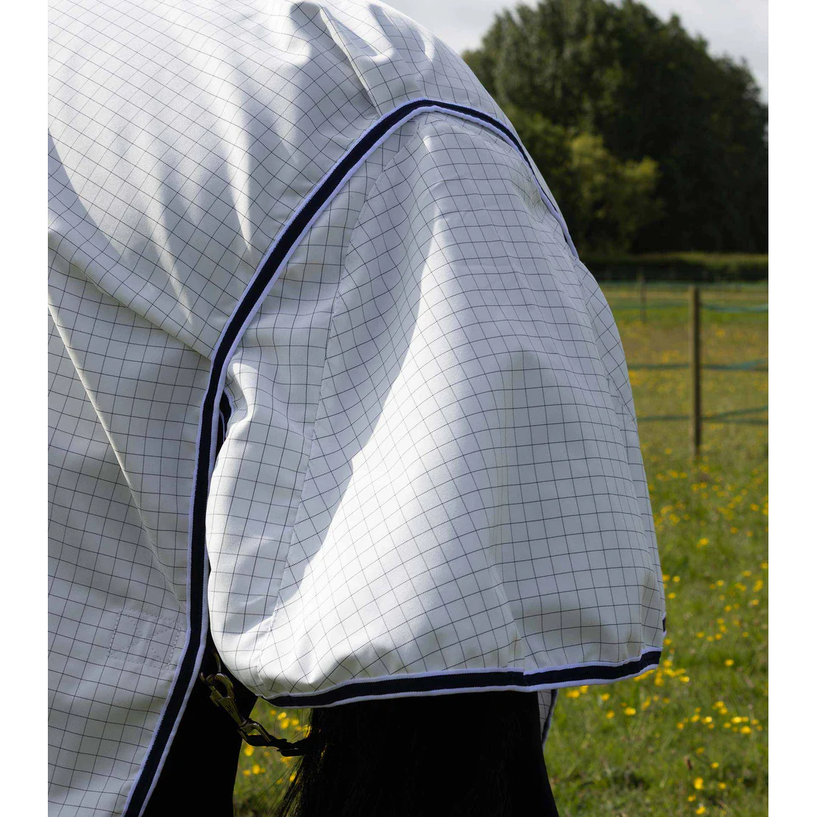 Cotone Combo Stable Sheet
