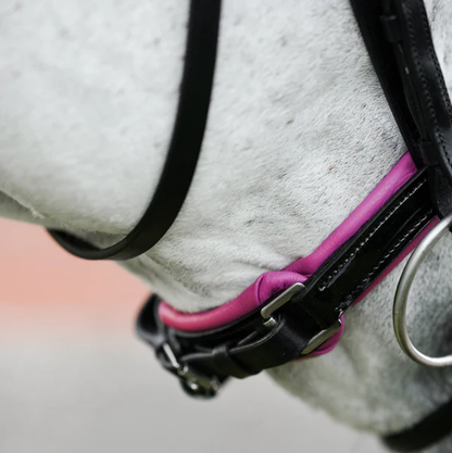 Perla Bridle (Hanoverian) (No reins)