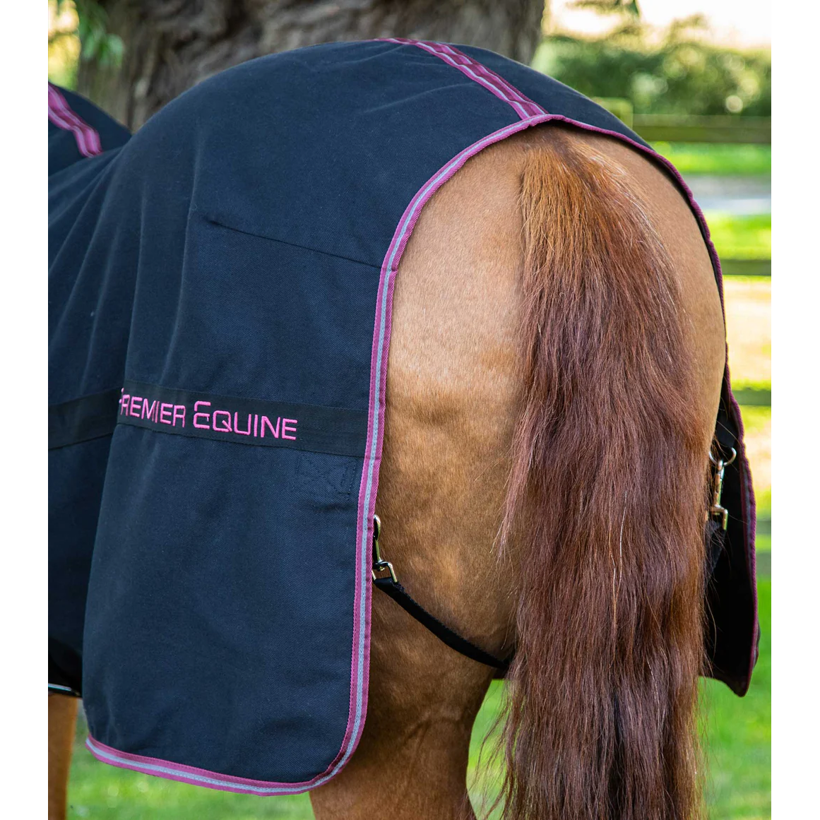 Barrasso Stable Sheet