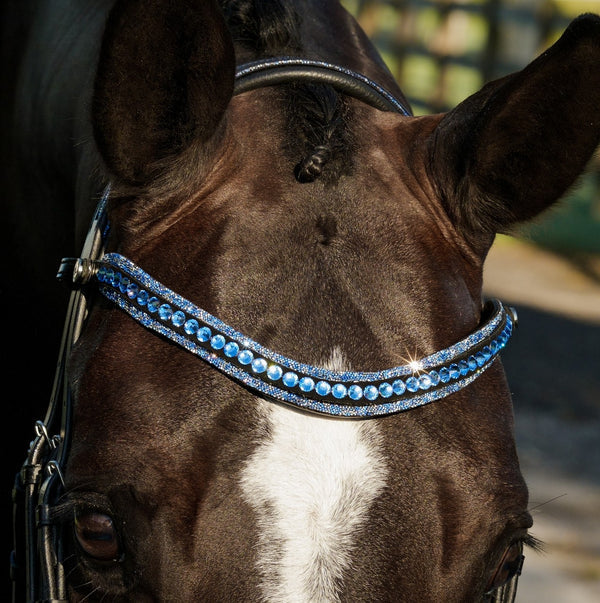 Paris Bridle (Double) (No reins)