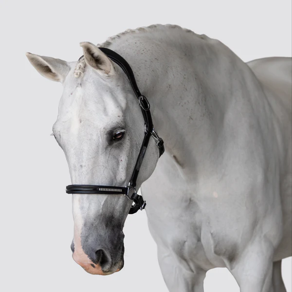 Perseus Leather Halter
