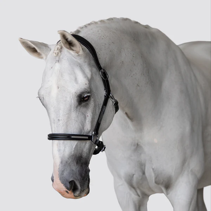 Perseus Leather Halter