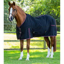 Load image into Gallery viewer, Barrasso Stable Sheet