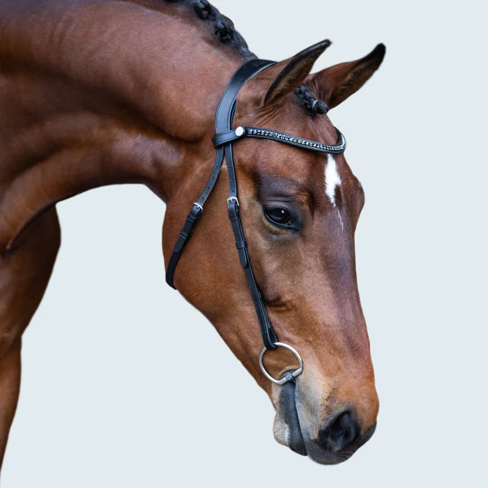 Sienna Nosebandless Bridle (No reins)