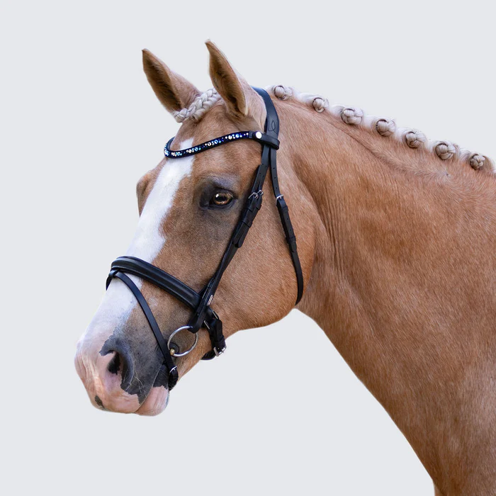 Demi Bridle (Hanoverian) (No reins)