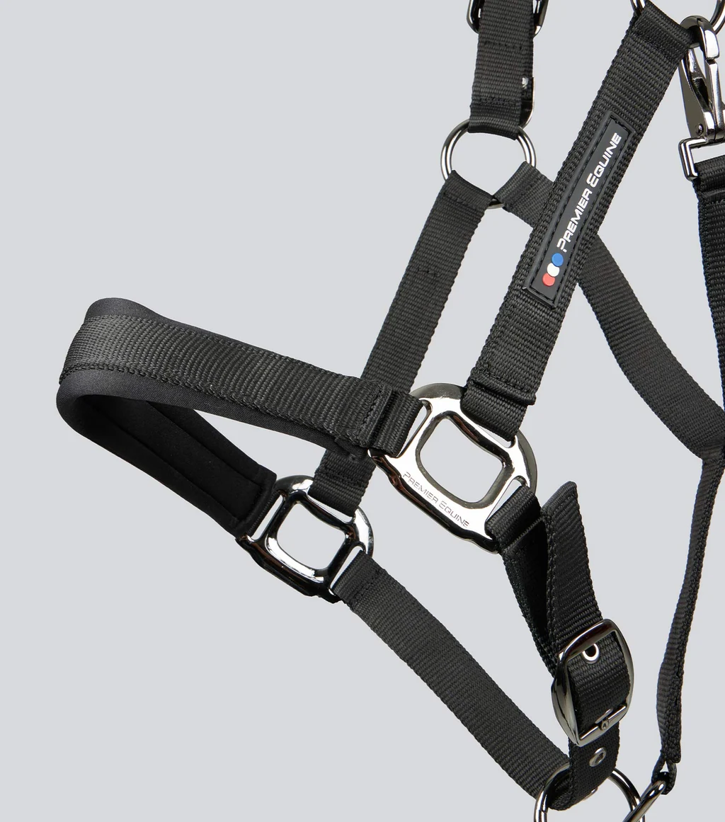 Corda Padded Head Collar with Lead Rope