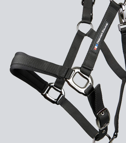 Corda Padded Head Collar with Lead Rope