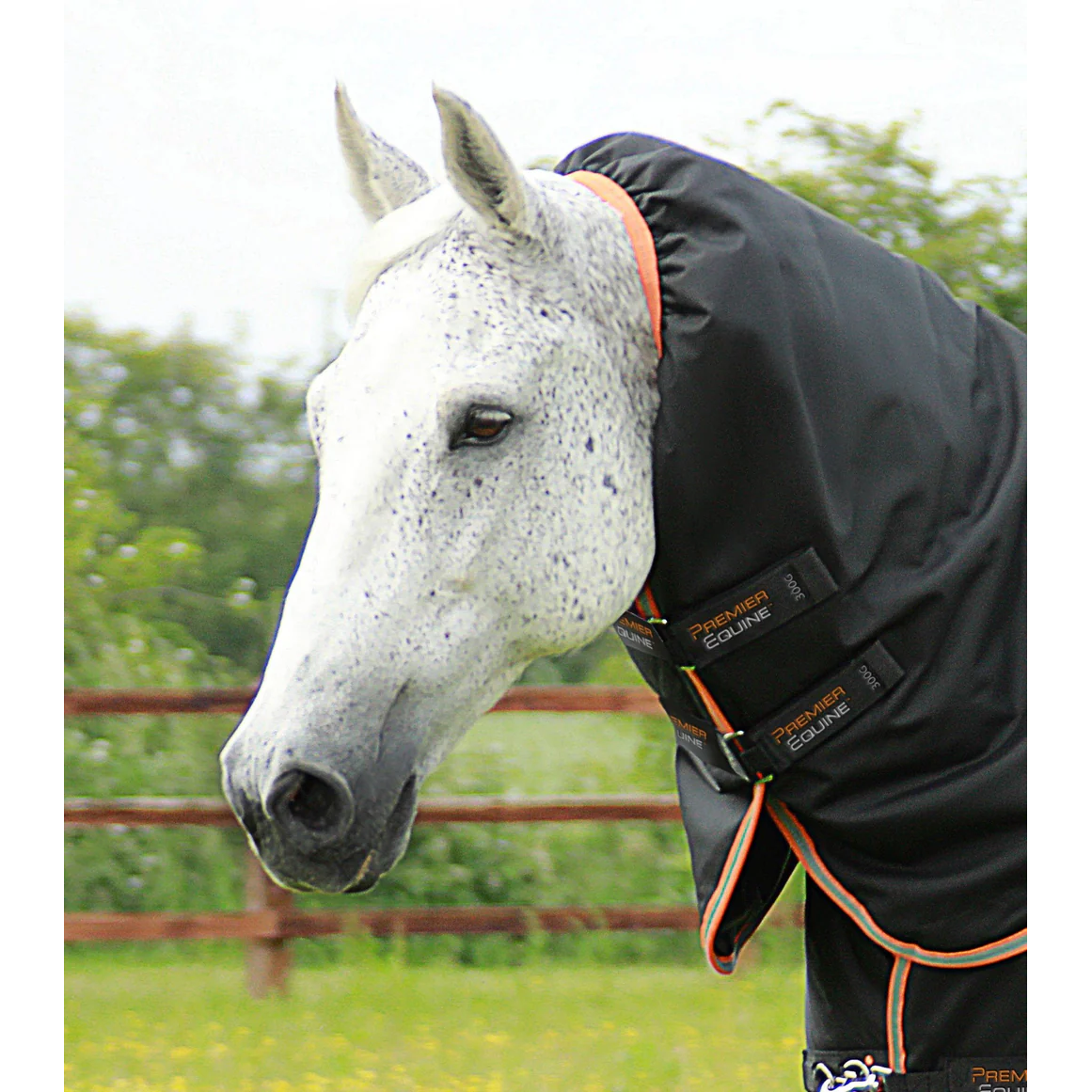 Titan 300g Turnout Rug with Snug-Fit Neck Cover
