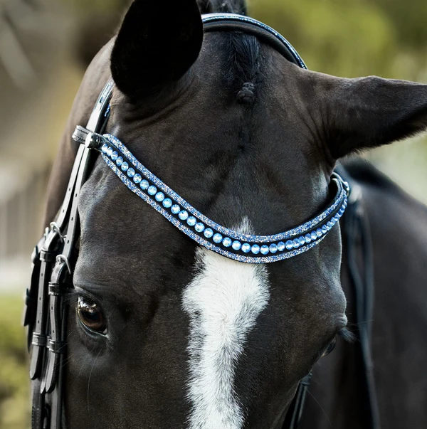 Paris Bridle (Double) (No reins)