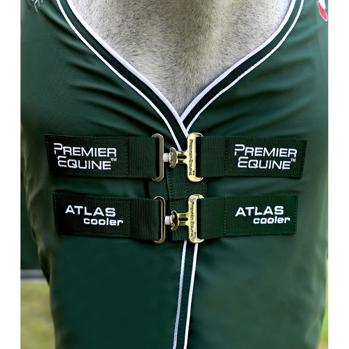 Atlas Horse Cooler Rug