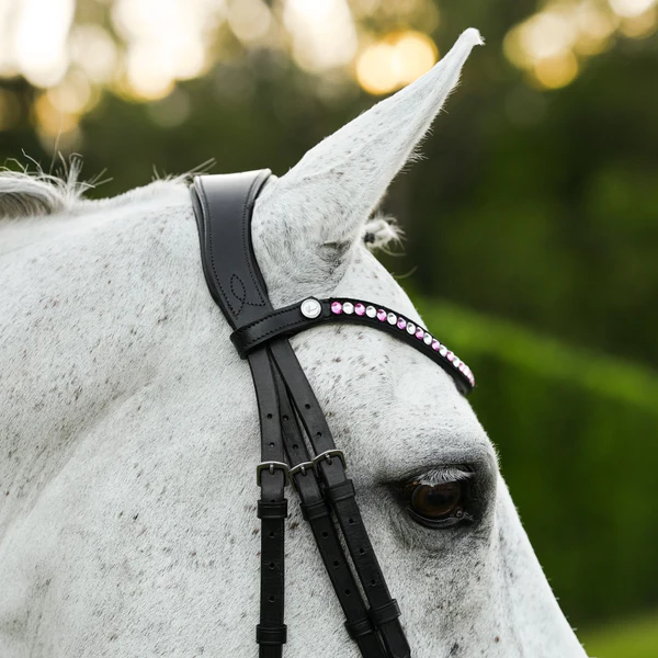 Perla Bridle (Hanoverian) (No reins)
