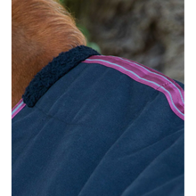 Load image into Gallery viewer, Barrasso Stable Sheet