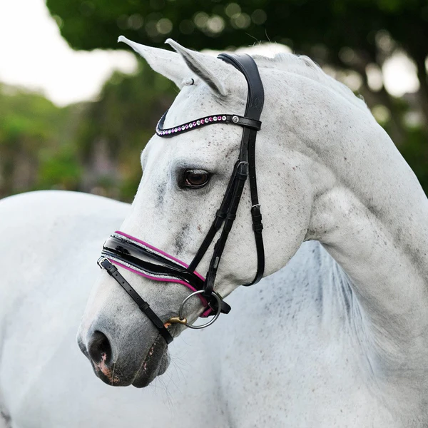 Perla Bridle (Hanoverian) (No reins)