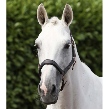 Fusco Head Collar With Lead Rope