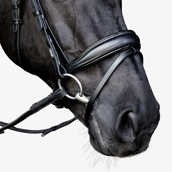 Penny Hanoverian Bridle (No reins)