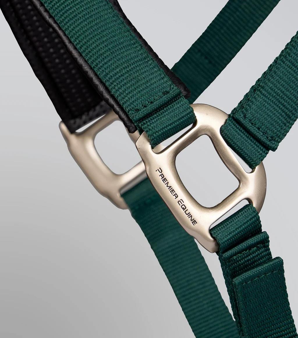 Plain Padded Head Collar with Lead Rope