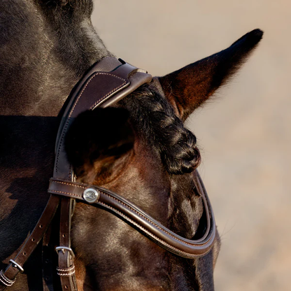 Pia Grackle Bridle (No reins)