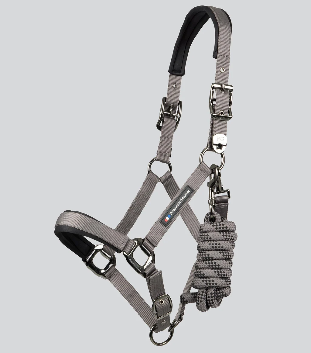 Corda Padded Head Collar with Lead Rope