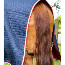 Load image into Gallery viewer, Combo Dry-Tech Horse Cooler Rug