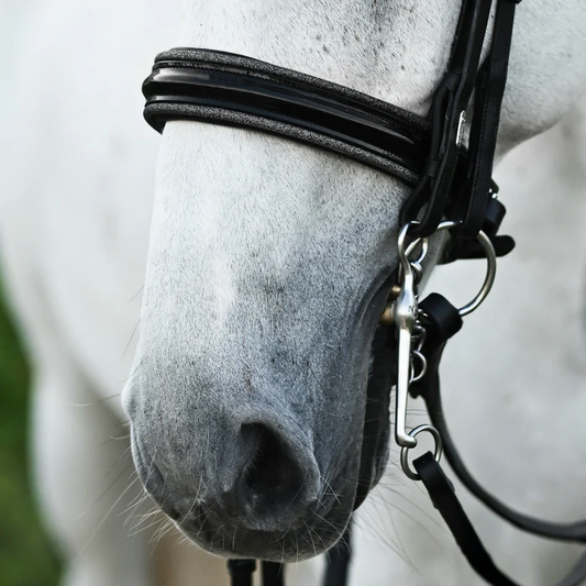 Saphira Bridle (Double) (No reins)