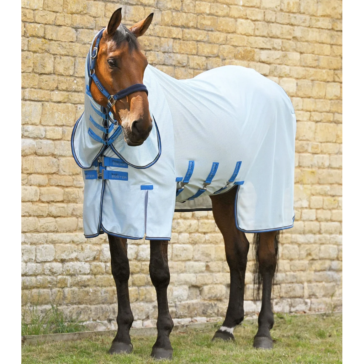 Combo Bug Buster Fly Rug with Belly Flap