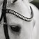Diva Browband