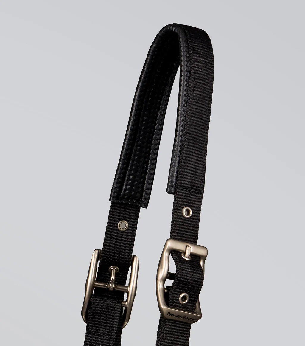 Plain Padded Head Collar with Lead Rope