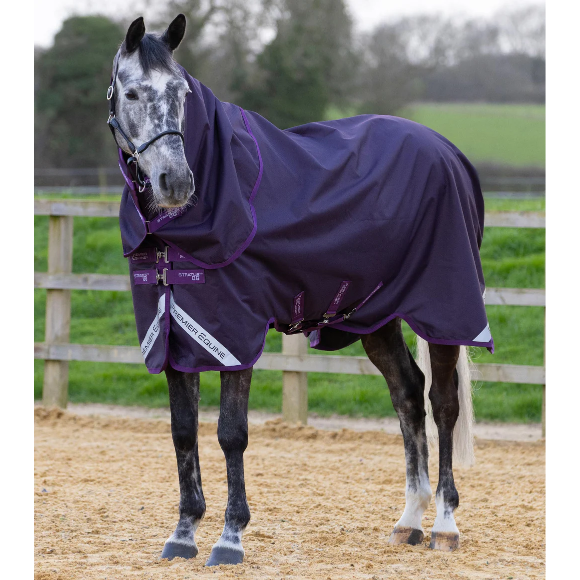 Stratus 600D Series 0g Turnout Rug with Classic Neck Cover