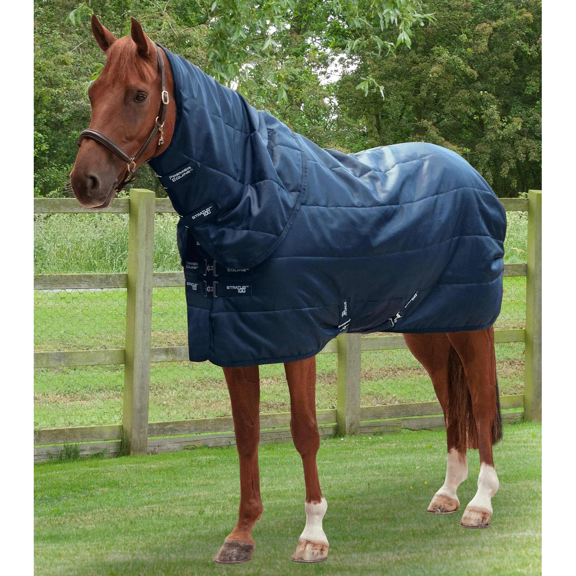 Stratus Stable Rug 100g with Neck Cover