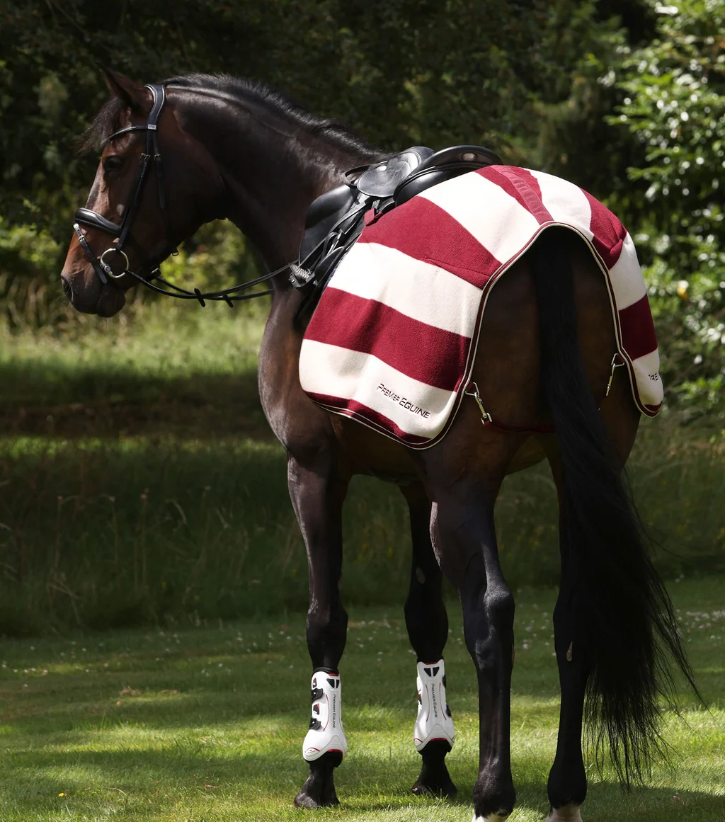 Vellus Horse Fleece Quarter Sheet