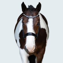 Load image into Gallery viewer, Symphony Bitless Bridle (No reins)