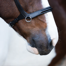 Load image into Gallery viewer, Santiago Bitless Bridle (No reins)