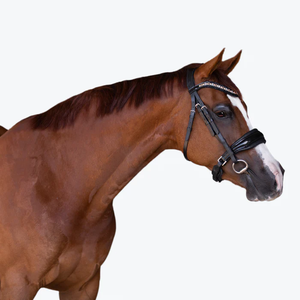 Ariana Bridle (Cavesson) (No reins)