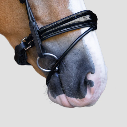 Audrey Rolled Leather Bridle (Hanoverian) (No reins)