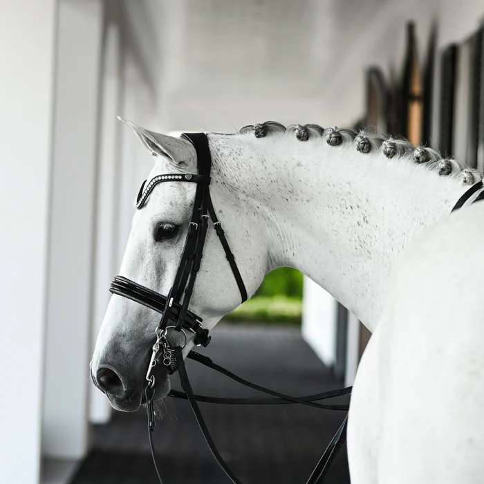 Saphira Bridle (Double) (No reins)