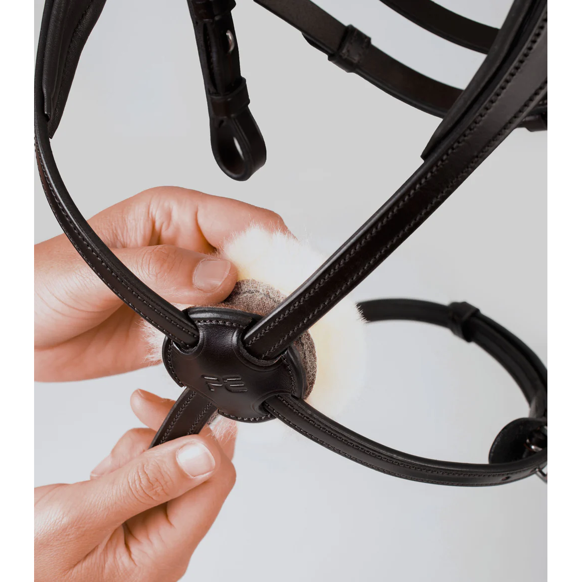 Glorioso Grackle Bridle (No reins)