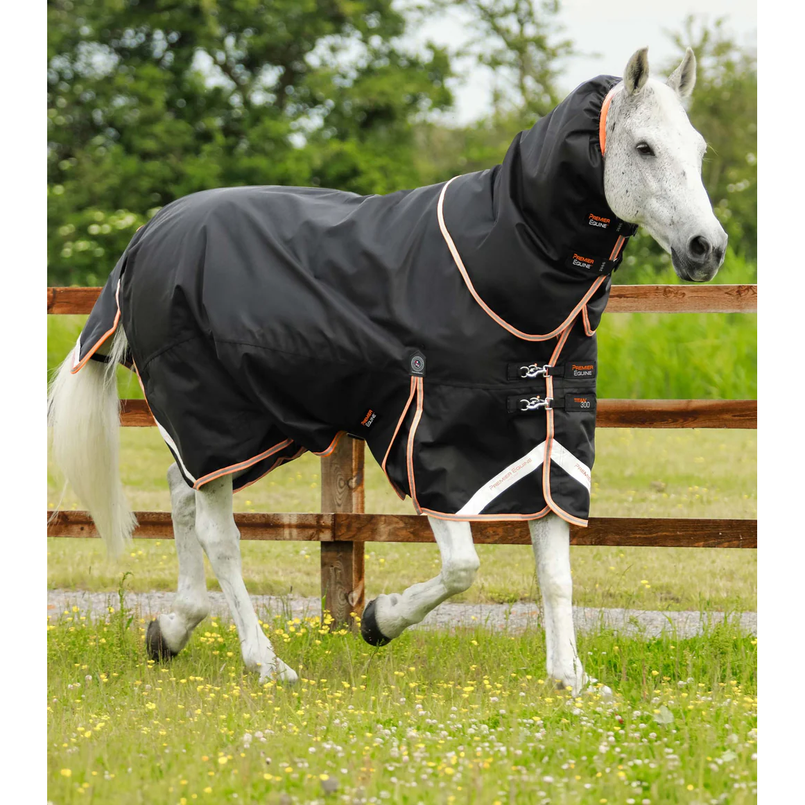Titan 300g Turnout Rug with Snug-Fit Neck Cover