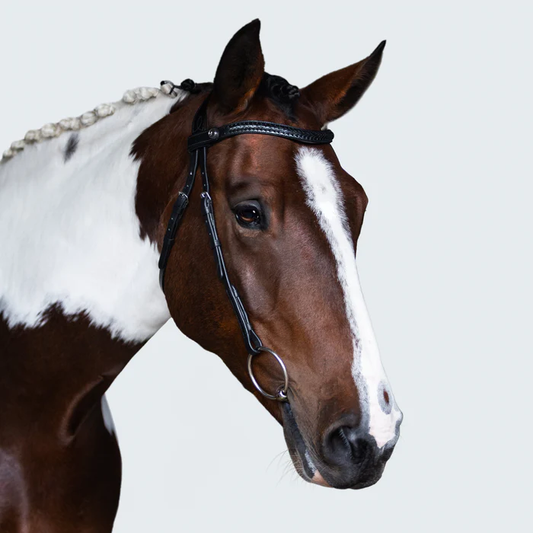Sansa Nosebandless Bridle (No reins)