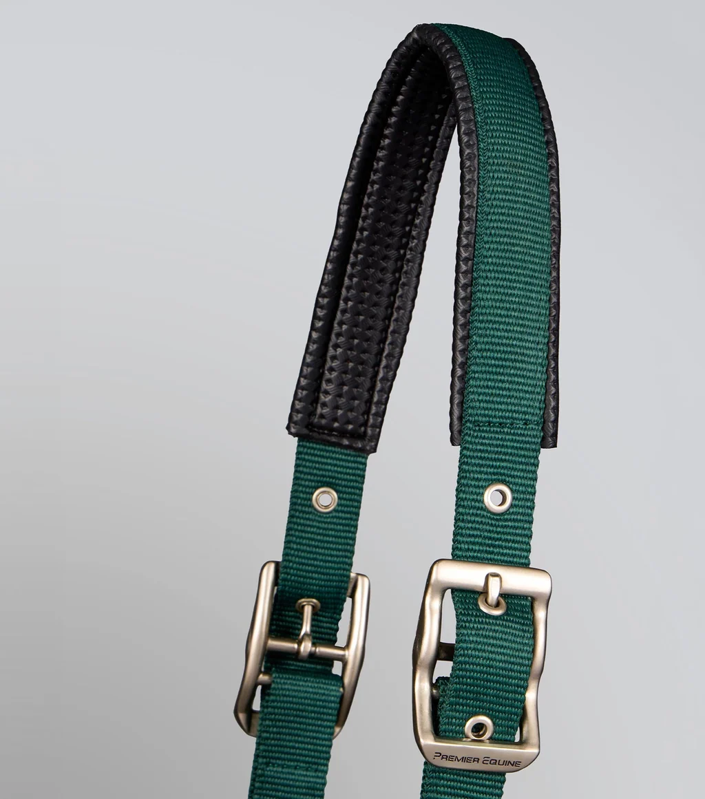 Plain Padded Head Collar with Lead Rope