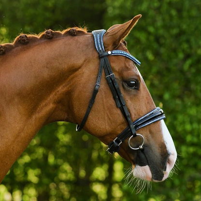 Paris Bridle (Cavesson) (No reins)