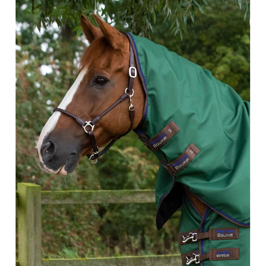 Akoni 0g Turnout Rug with Classic Neck Cover